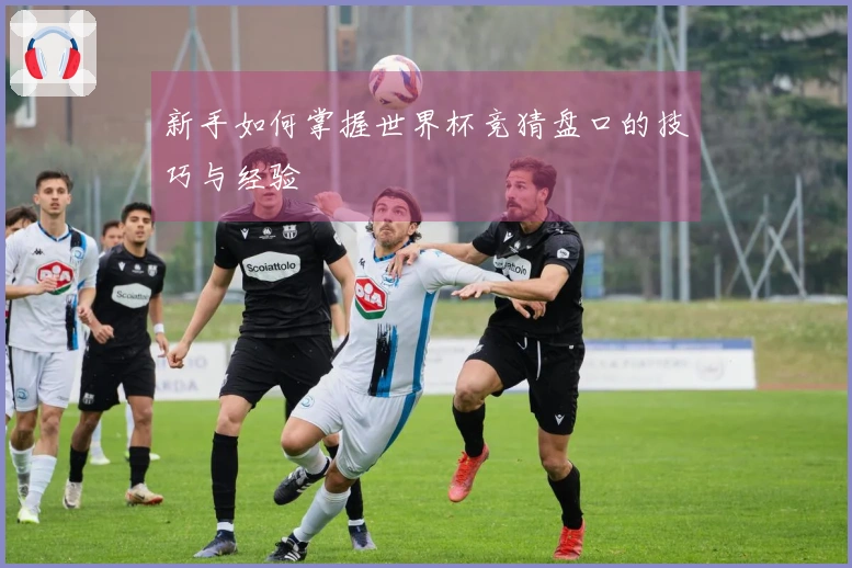 新手如何掌握世界杯竞猜盘口的技巧与经验