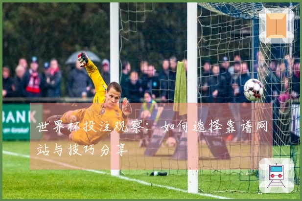 世界杯投注观察：如何选择靠谱网站与技巧分享