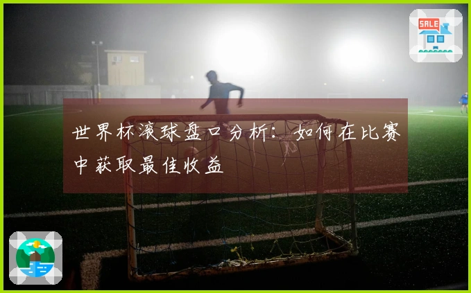 世界杯滚球盘口分析：如何在比赛中获取最佳收益