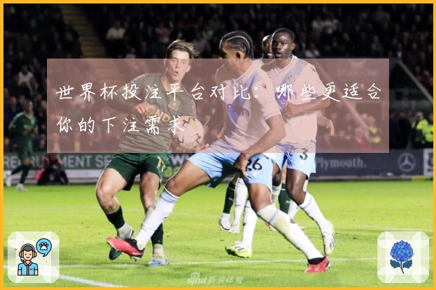 世界杯投注平台对比：哪些更适合你的下注需求