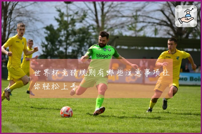 世界杯竞猜规则有哪些注意事项让你轻松上手