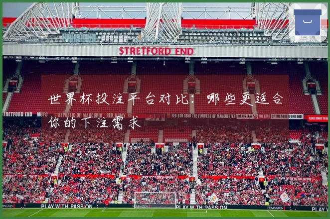 世界杯投注平台对比：哪些更适合你的下注需求