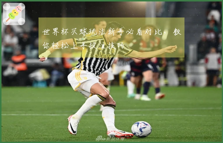 世界杯买球玩法新手必看对比，教你轻松上手投注技巧