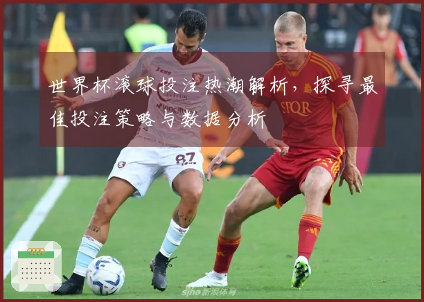 世界杯滚球投注热潮解析，探寻最佳投注策略与数据分析